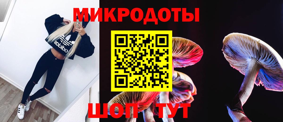 Псилоцибиновые грибы прущие грибы Елец