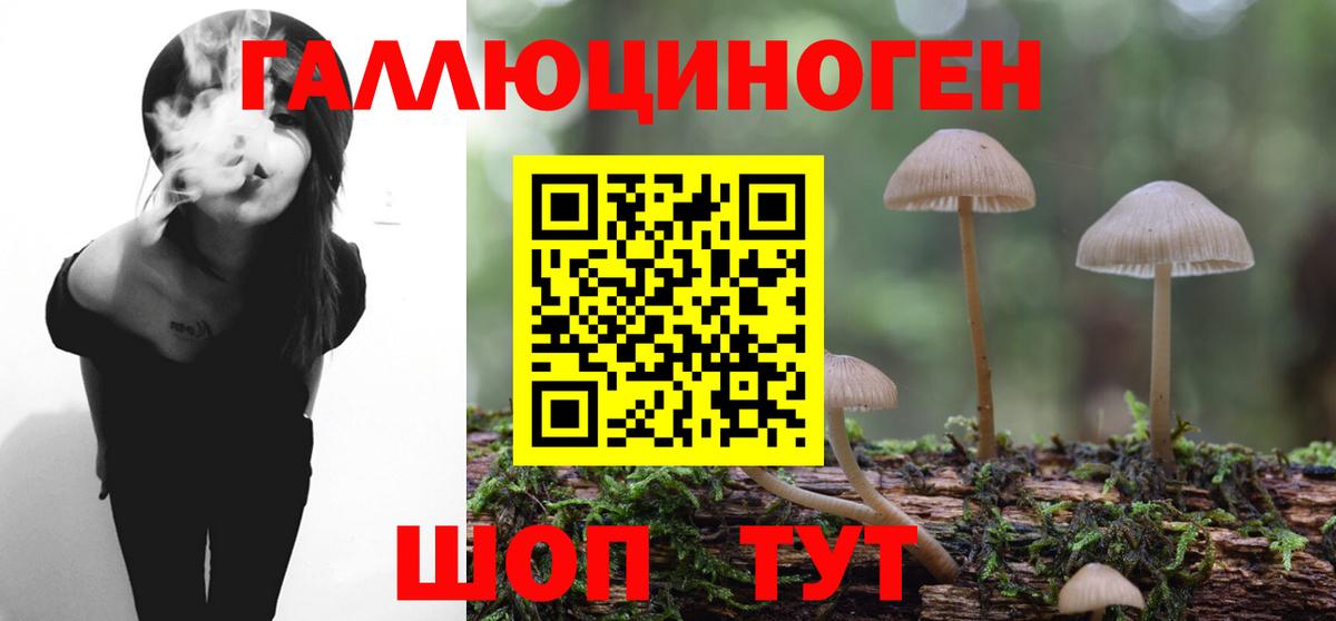 Галлюциногенные грибы MAGIC MUSHROOMS  Вход с VPN  Галлюциногенные грибы Cubensis  Елец 